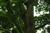 Picture 009.jpg